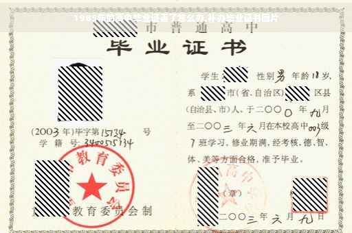 1985年的高中毕业证丢了怎么办,补办毕业证书图片