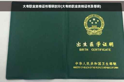 大专职业资格证书等级划分(大专的职业资格证书及等级)
