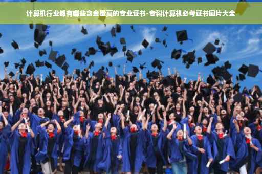 计算机行业都有哪些含金量高的专业证书-专科计算机必考证书图片大全