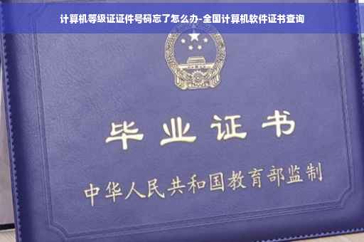 计算机等级证证件号码忘了怎么办-全国计算机软件证书查询