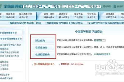 计算机高级工种证书图片(计算机高级工种证书图片大全)