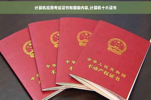 计算机应用考试证书有哪些内容,计算机十大证书