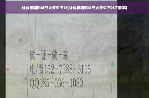 计算机辅修证书要多少学分(计算机辅修证书要多少学分才能拿)