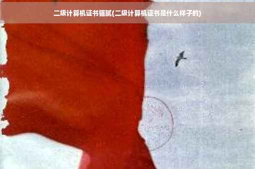 二级计算机证书猫腻(二级计算机证书是什么样子的)