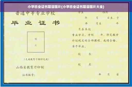 小学毕业证书题目图片(小学毕业证书题目图片大全)