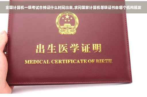 全国计算机一级考试合格证什么时间出来,求问国家计算机等级证书由哪个机构颁发