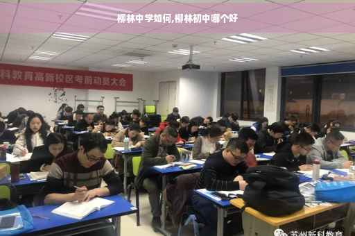 柳林中学如何,柳林初中哪个好