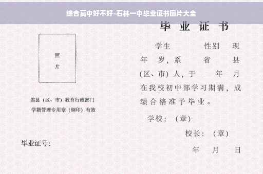 综合高中好不好-石林一中毕业证书图片大全