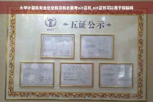 大学计算机专业毕业有没有必要考nit证书,nit证书可以用于投标吗