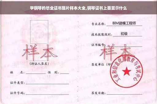 学钢琴的毕业证书图片样本大全,钢琴证书上面显示什么