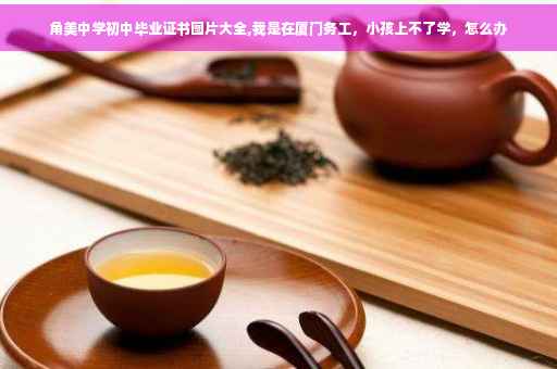 角美中学初中毕业证书图片大全,我是在厦门务工，小孩上不了学，怎么办