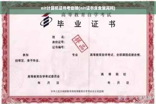 nit计算机证书考些啥(nit证书含金量高吗)