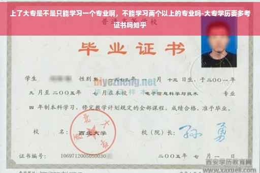 上了大专是不是只能学习一个专业啊，不能学习两个以上的专业吗-大专学历要多考证书吗知乎