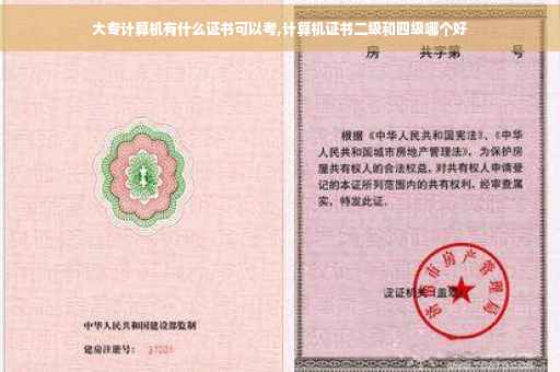 大专计算机有什么证书可以考,计算机证书二级和四级哪个好