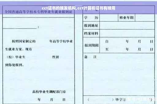 cct证书的颁发机构,cct计算机证书有啥用