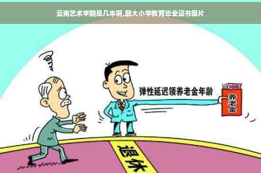 云南艺术学院是几本啊,联大小学教育毕业证书图片