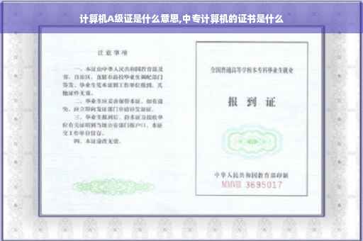 计算机A级证是什么意思,中专计算机的证书是什么
