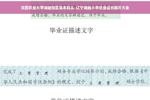 沈阳农业大学海城校区是本科么-辽宁海城小学毕业证书图片大全