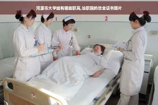 河源市大学城有哪些职高,汕职院的毕业证书图片