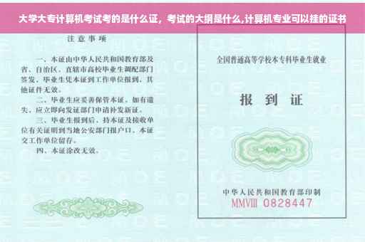 大学大专计算机考试考的是什么证，考试的大纲是什么,计算机专业可以挂的证书