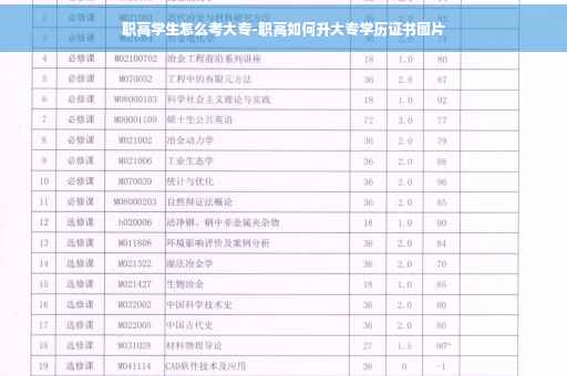 职高学生怎么考大专-职高如何升大专学历证书图片