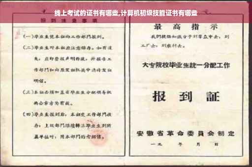 线上考试的证书有哪些,计算机初级技能证书有哪些