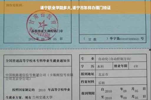 遂宁职业学院多大,遂宁市怎样办理门特证