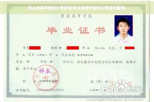 怎么知道学校的大专证书(怎么知道学校的大专证书编号)