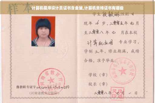 计算机程序设计员证书含金量,计算机资格证书有哪些