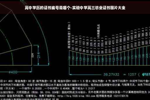 高中学历的证书编号是哪个-实验中学高三毕业证书图片大全