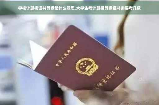 学校计算机证书等级是什么意思,大学生考计算机等级证书需要考几级