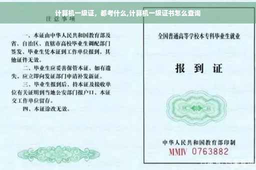 计算机一级证，都考什么,计算机一级证书怎么查询