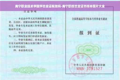 南宁职业技术学院学毕业证有效吗-南宁职校毕业证书样本图片大全