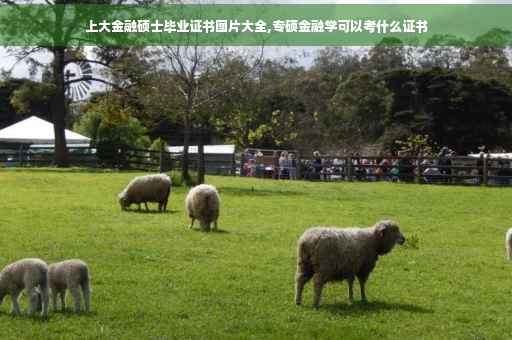 上大金融硕士毕业证书图片大全,专硕金融学可以考什么证书