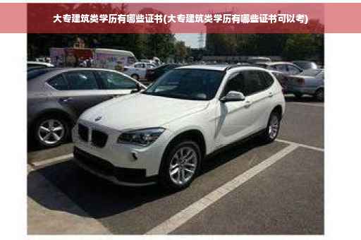大专建筑类学历有哪些证书(大专建筑类学历有哪些证书可以考)