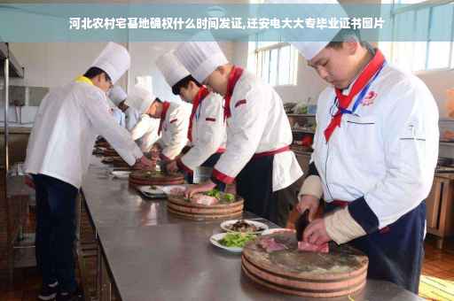 河北农村宅基地确权什么时间发证,迁安电大大专毕业证书图片