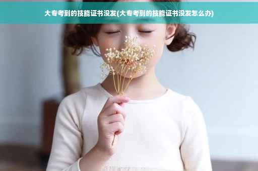 大专考到的技能证书没发(大专考到的技能证书没发怎么办)
