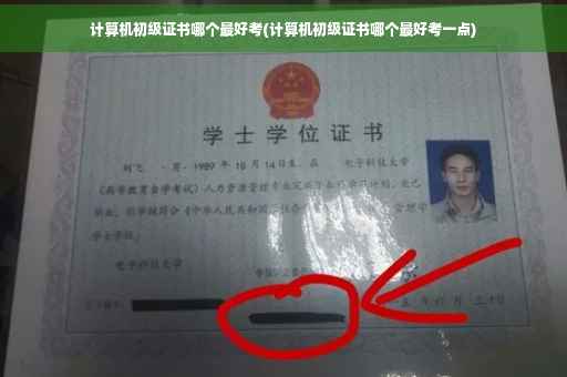 计算机初级证书哪个最好考(计算机初级证书哪个最好考一点)