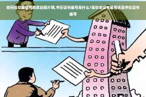 如何拍毕业证书和奖状图片呢,学历证书编号是什么?是毕业证书编号还是学位证书编号