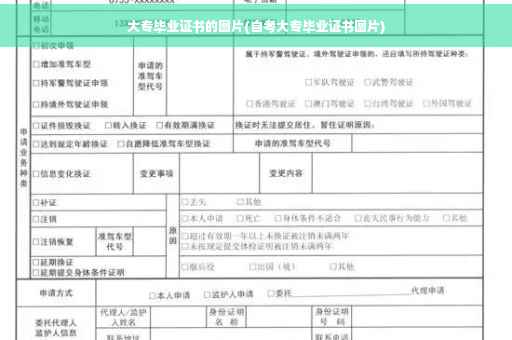 大专毕业证书的图片(自考大专毕业证书图片)