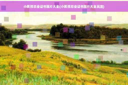 小男孩毕业证书图片大全(小男孩毕业证书图片大全高清)
