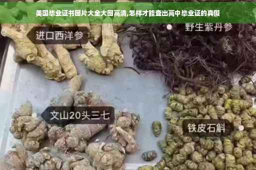 美国毕业证书图片大全大图高清,怎样才能查出高中毕业证的真假