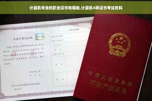 计算机专业的职业证书有哪些,计算机4级证书考试资料