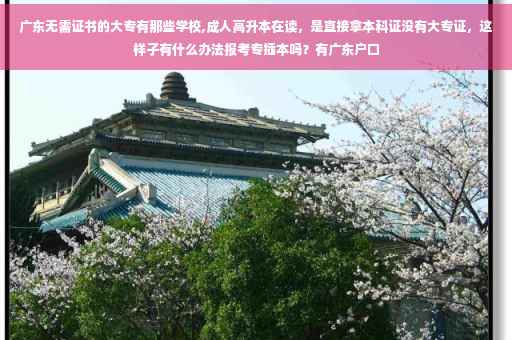 广东无需证书的大专有那些学校,成人高升本在读，是直接拿本科证没有大专证，这样子有什么办法报考专插本吗？有广东户口