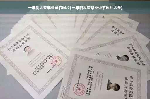 一年制大专毕业证书图片(一年制大专毕业证书图片大全)