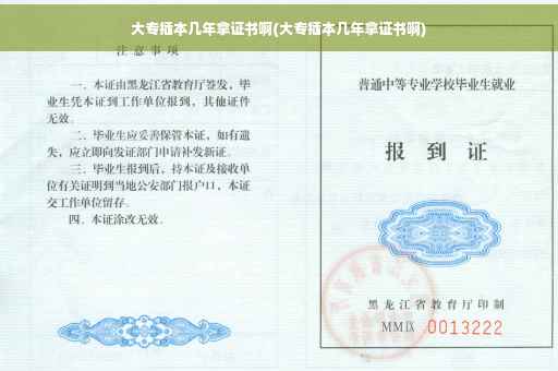 大专插本几年拿证书啊(大专插本几年拿证书啊)