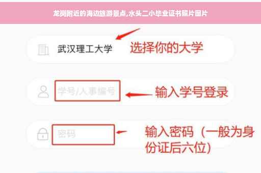 龙岗附近的海边旅游景点,水头二小毕业证书照片图片
