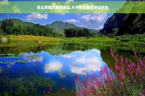 怎么获得大专毕业证,大专有技能等级证书吗