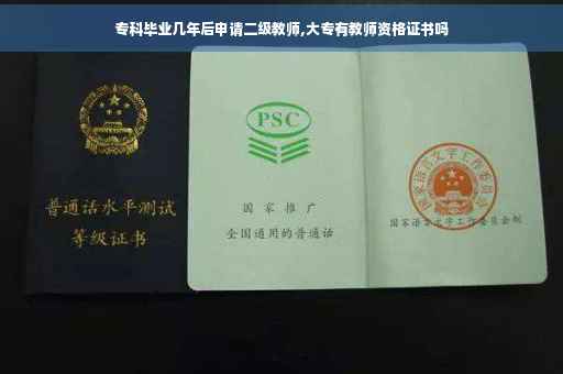 专科毕业几年后申请二级教师,大专有教师资格证书吗