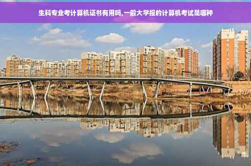 生科专业考计算机证书有用吗,一般大学报的计算机考试是哪种